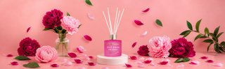 Diffusers