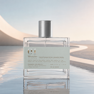Mémoire Archives Destination Unknown Perfume 3.4 oz