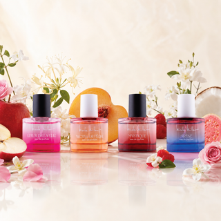 Nicole Miller Discovery Set