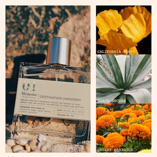 Mémoire Archives Destination Unknown Perfume 3.4 oz