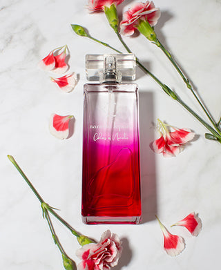 Nanette Lepore Colors of Nanette Perfume 3.4 oz